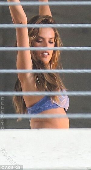 Alessandra Ambrosio photo