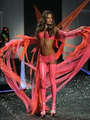 Alessandra Ambrosio photo