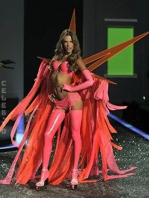 Alessandra Ambrosio Nude Leaked Photo #1895