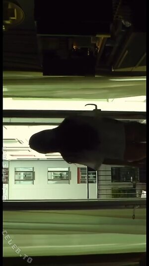 Anna-Christina Schwartz Nude Leaked Photo #174