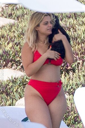 Bebe Rexha Nude Leaked Photo #190