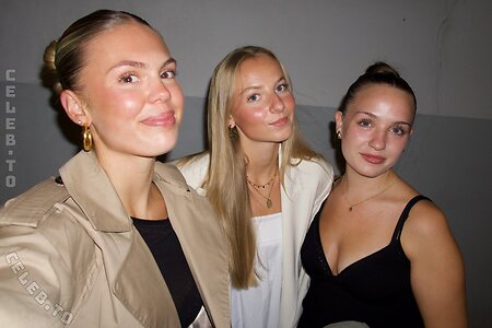 Coliendk photo