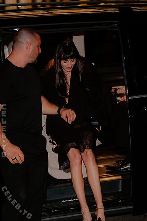 Dakota Johnson Nude Leaked Photo #165