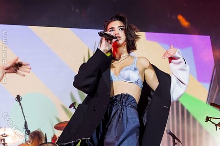 Dua Lipa Nude Leaked Photo #375