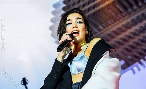 Dua Lipa Nude Leaked Photo #376