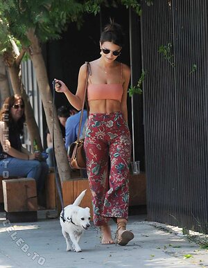 Emily Ratajkowski Nude Leaked Photo #209