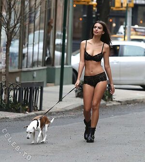 Emily Ratajkowski Nude Leaked Photo #376