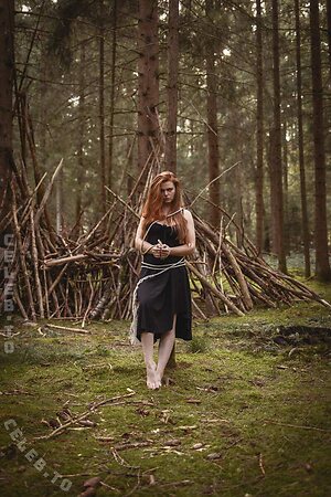 Foxydirndl photo