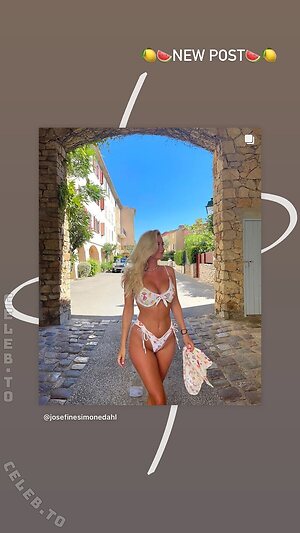 Josefine Dahl Nude Leaked Photo #103