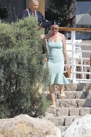 Katy Perry Nude Leaked Photo #69