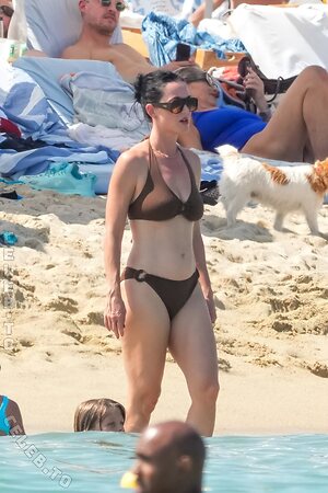 Katy Perry Nude Leaked Photo #88