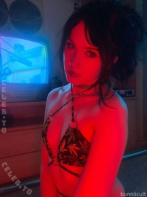 Lyra.lux photo