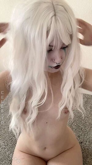 Lyra.lux photo