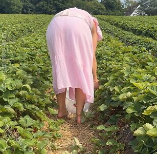 Milschbaum Nude Leaked Photo #138