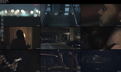 Musikvideos