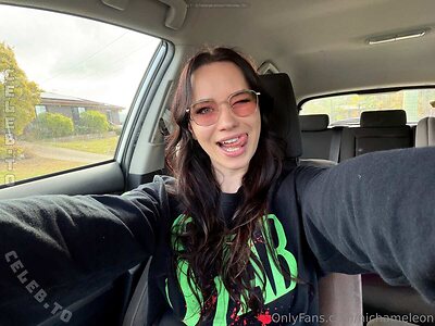 Nichameleon photo