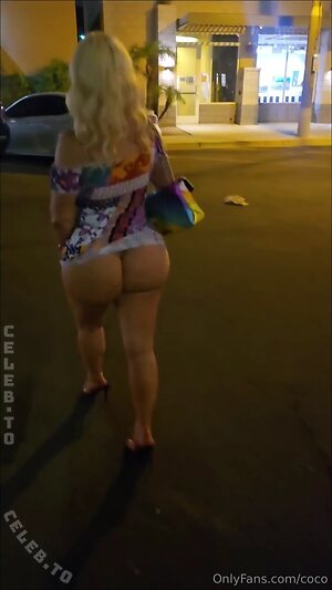 Nicole Coco Austin photo