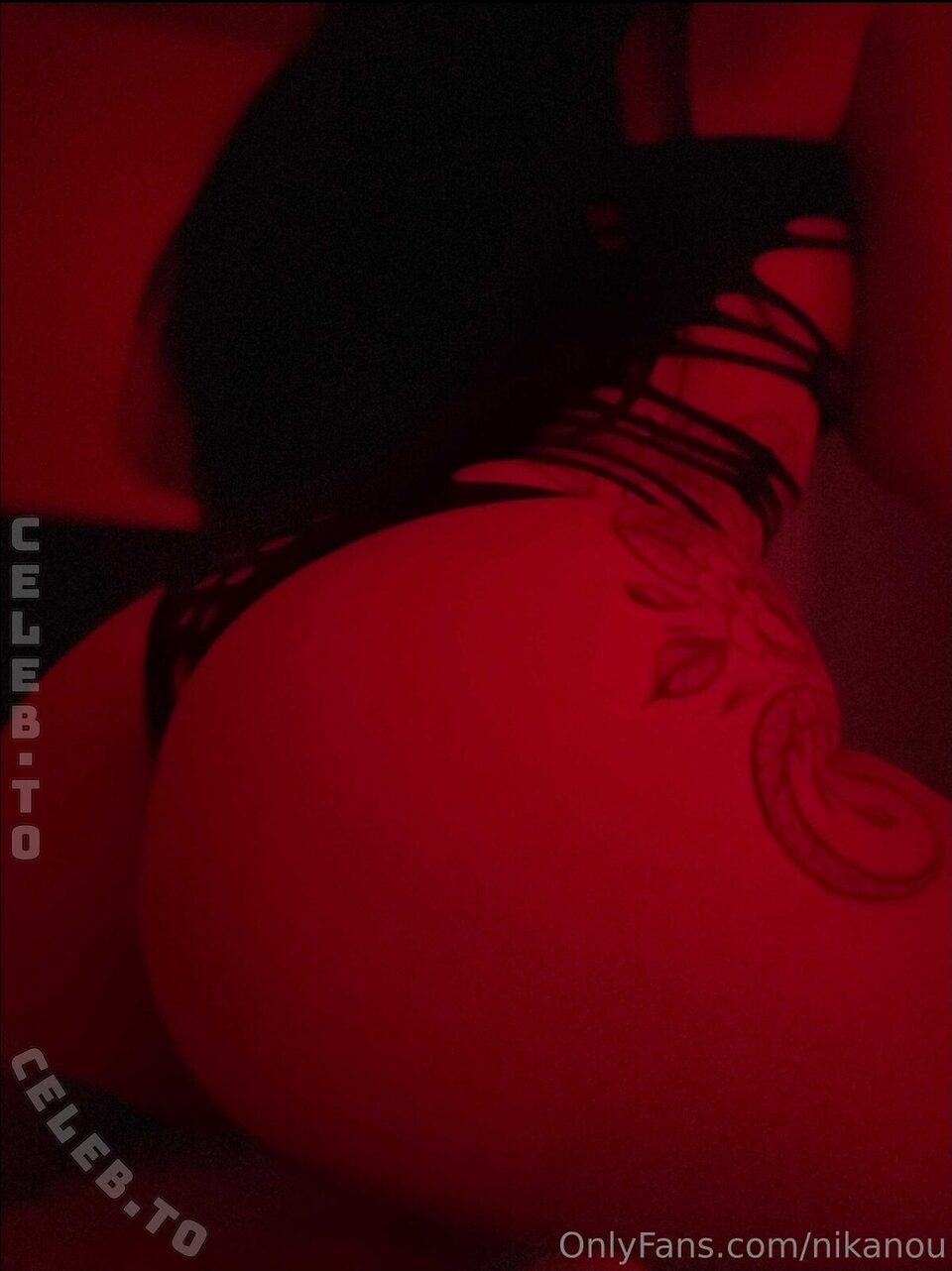 Nika Ilcic Nude Leaked Photos