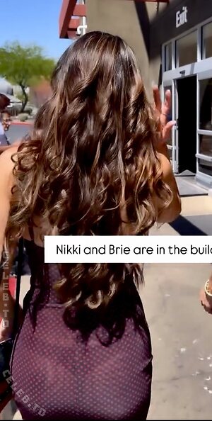 Nikki Bella Nude Leaked Photo #16