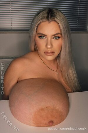 Nina Phoenix Nude Leaked Photo #133
