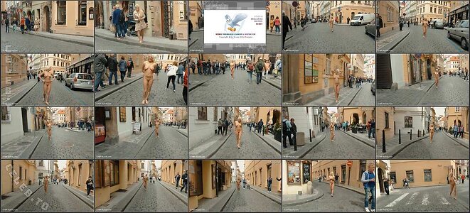 Nude in Public Nude Leaked Photo #2078
