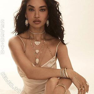 Shanina Shaik Nude Leaked Photo #50