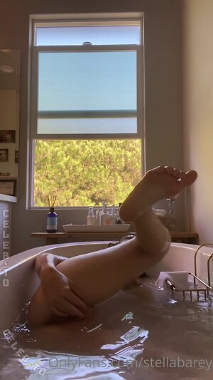 Stella Barey Nude Leaked Photo #210