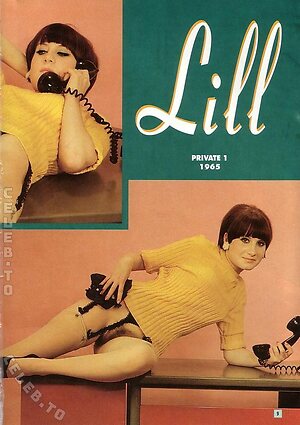 Vintage Erwachsenen Zeitschriften Nude Leaked Photo #241