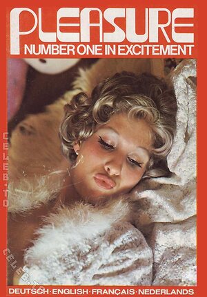 Vintage Erwachsenen Zeitschriften Nude Leaked Photo #2705