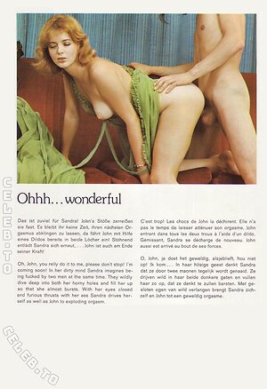Vintage Erwachsenen Zeitschriften Nude Leaked Photo #2775
