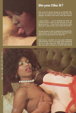 Vintage Erwachsenen Zeitschriften Nude Leaked Photo #2817
