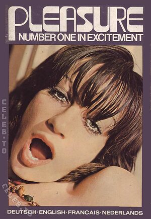Vintage Erwachsenen Zeitschriften Nude Leaked Photo #2905